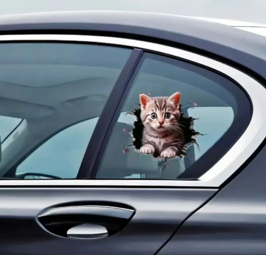 3D Auto-Aufkleber Katze – SwissGlanzGarage Autopflege Schweiz