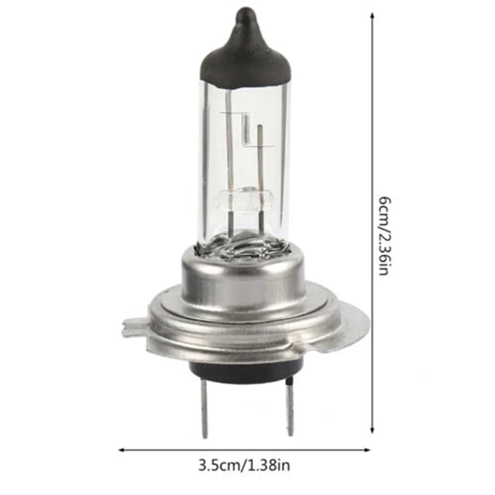 Halogen H7 55W 12V Scheinwerfer-Lampe – SwissGlanzGarage Ansicht 6