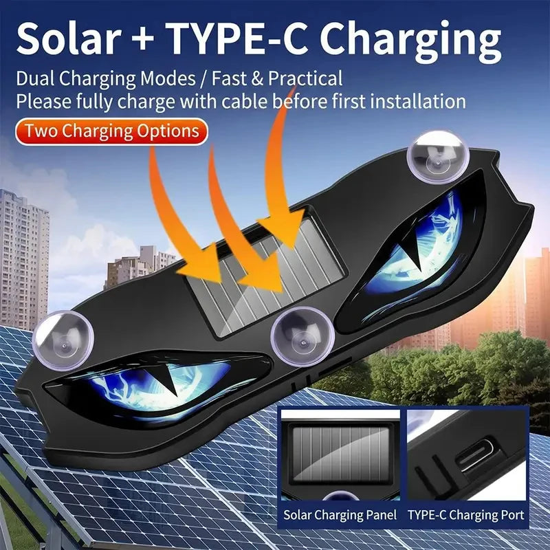 Solarbetriebene Auto Neonbeleuchtung – SwissGlanzGarage Ansicht 5