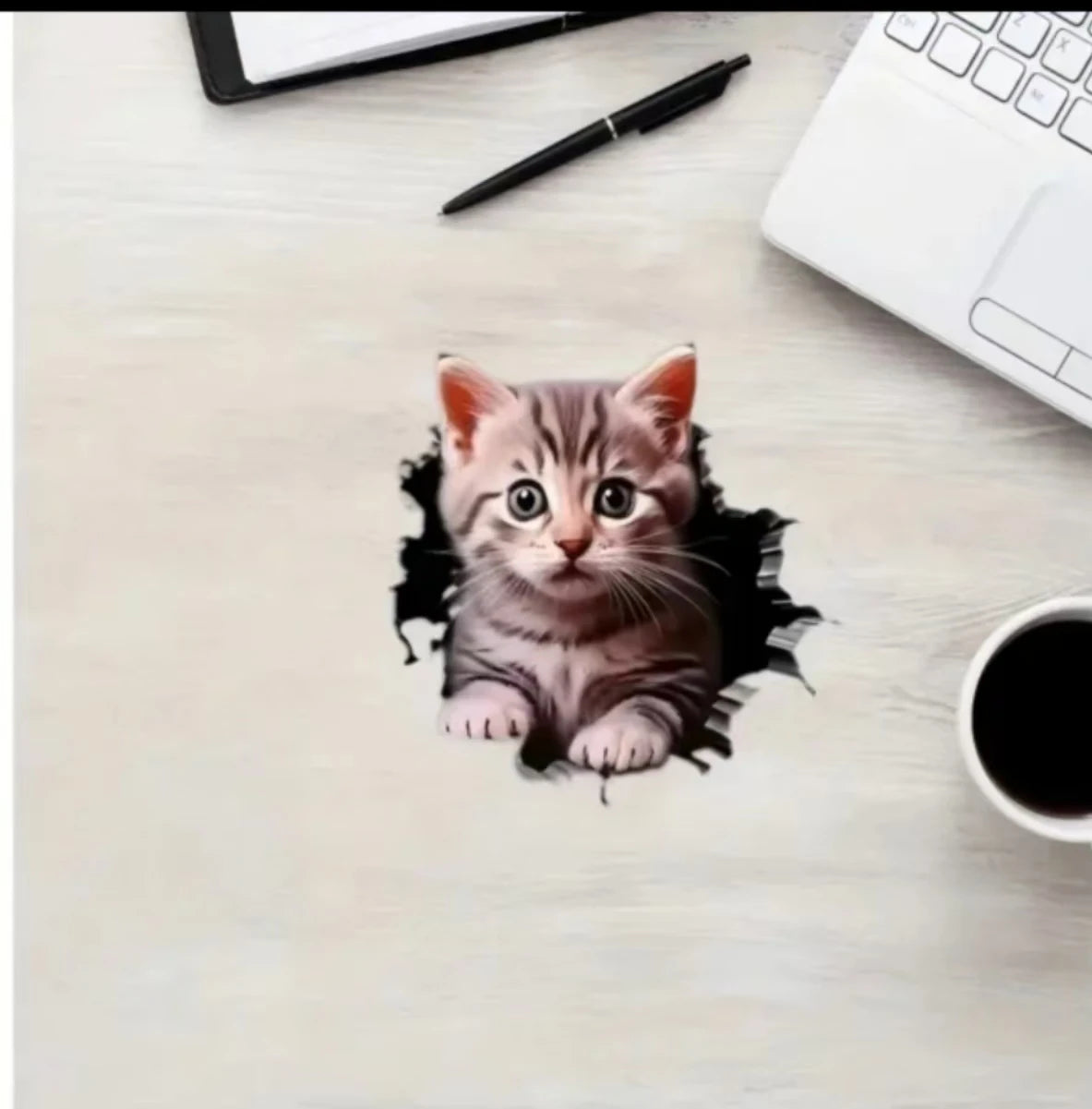 3D Auto-Aufkleber Katze – SwissGlanzGarage Ansicht 3