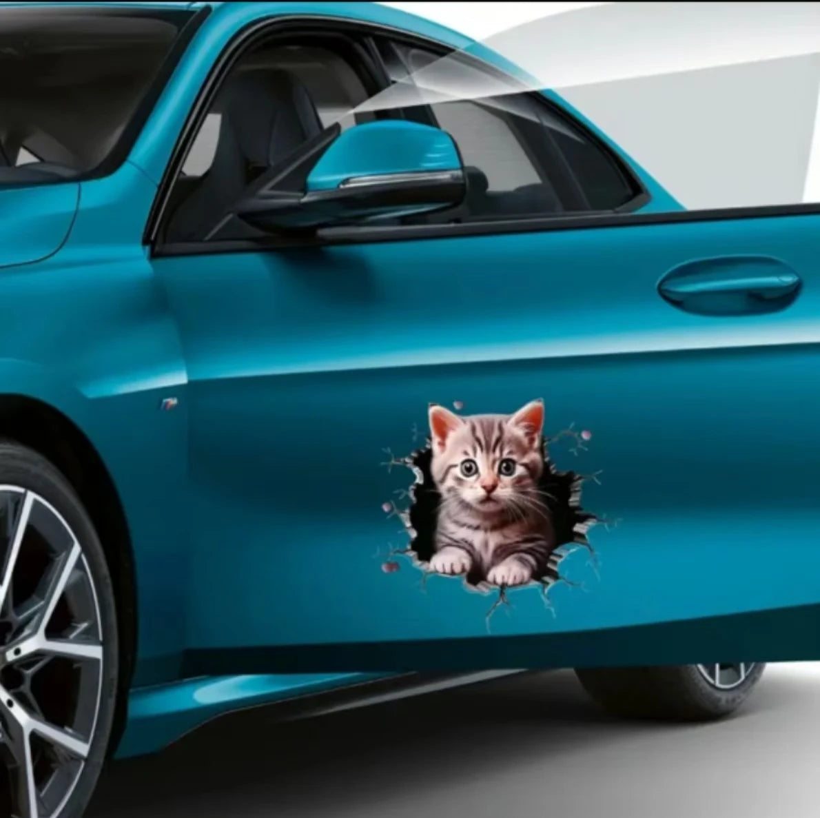 3D Auto-Aufkleber Katze – SwissGlanzGarage Ansicht 2