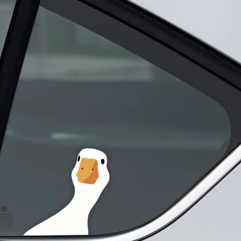 Wetterfester Enten-Aufkleber – SwissGlanzGarage Ansicht 5