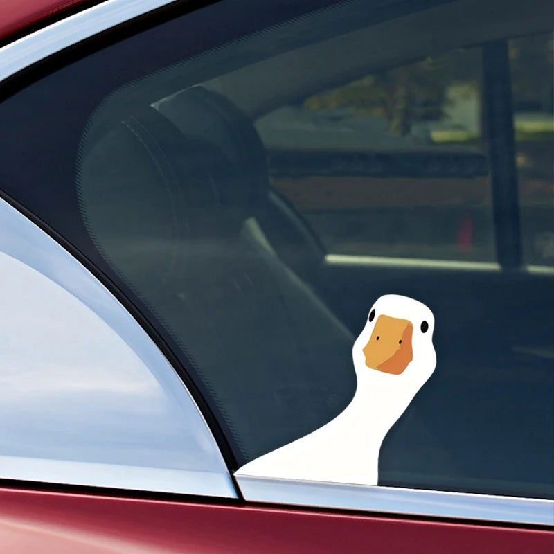 Wetterfester Enten-Aufkleber – SwissGlanzGarage Ansicht 4
